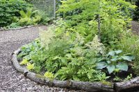 den engelska trädgården woodland hosta elegans astilbe brautschleier