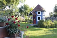 den engelska trädgården cottageträdgården cottage garden dahlia